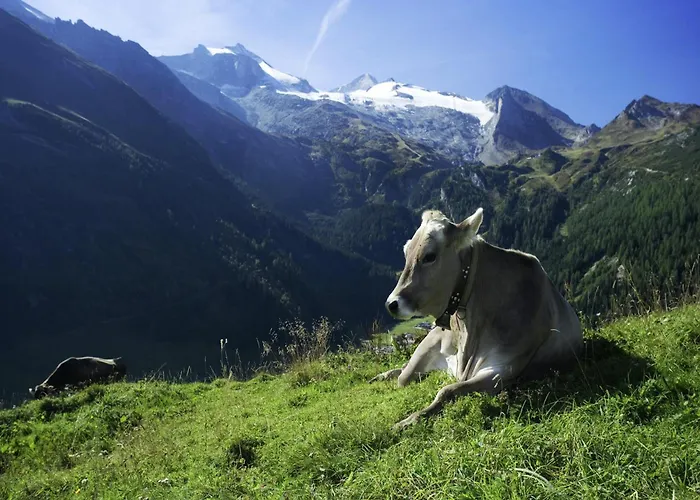 In Aschau Near Hochzillertal Slopes Apartamento